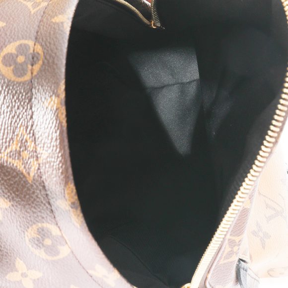 Louis Vuitton Canvas Reverse Monogram Palm Spring PM - Picture 4 of 7